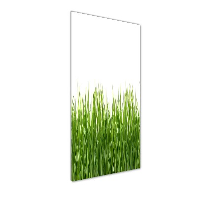 Staand foto op plexiglas Groen gras