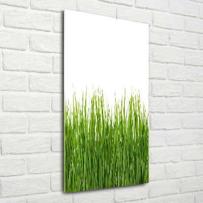 Staand foto op plexiglas Groen gras