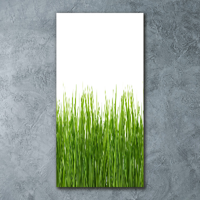 Staand foto op plexiglas Groen gras