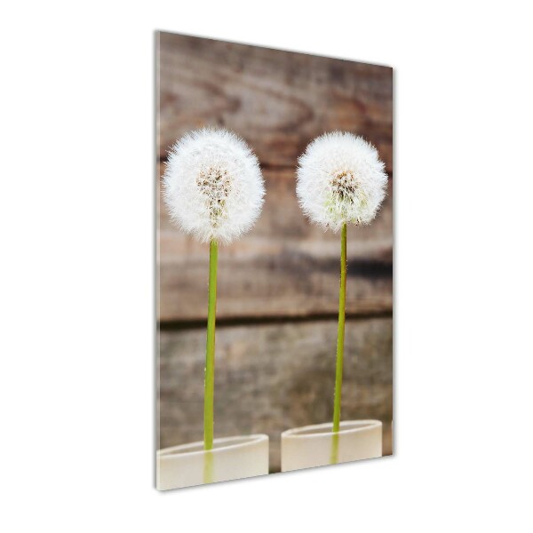 Staand plexiglas foto Paardenbloemen