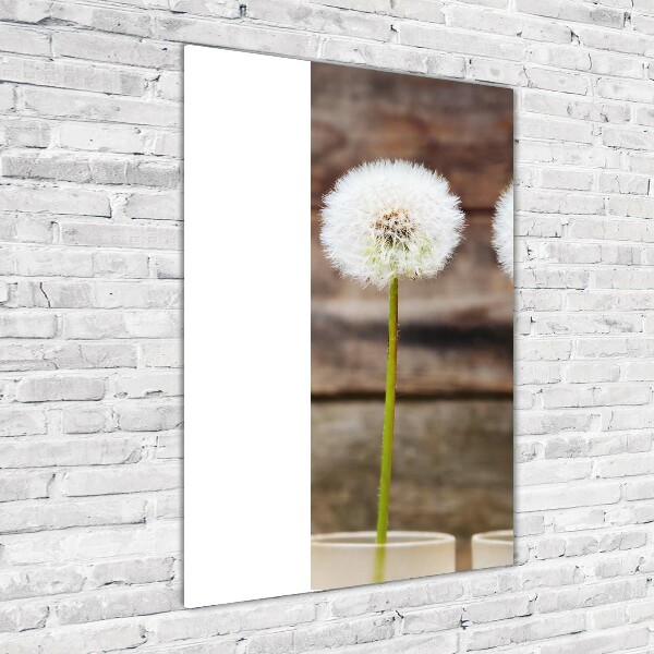 Staand plexiglas foto Paardenbloemen