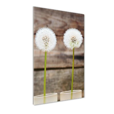 Staand plexiglas foto Paardenbloemen