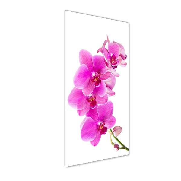 Staand foto plexiglas Roze orchidee