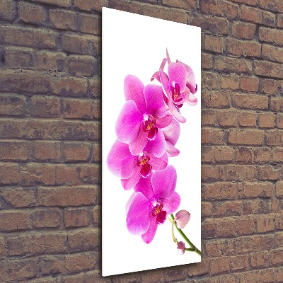 Staand foto plexiglas Roze orchidee