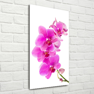 Staand foto plexiglas Roze orchidee