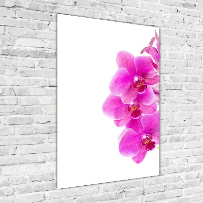 Staand foto plexiglas Roze orchidee