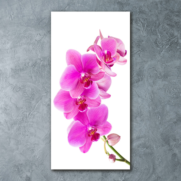Staand foto plexiglas Roze orchidee