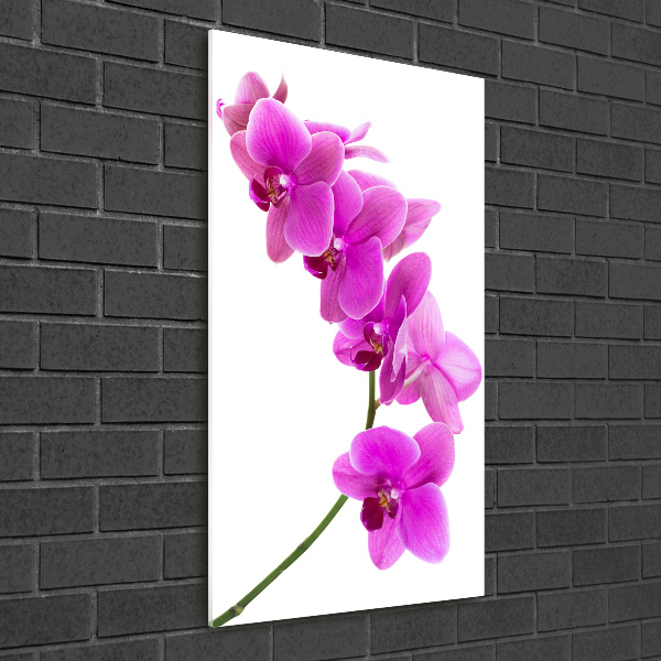 Staand foto in plexiglas Roze orchidee