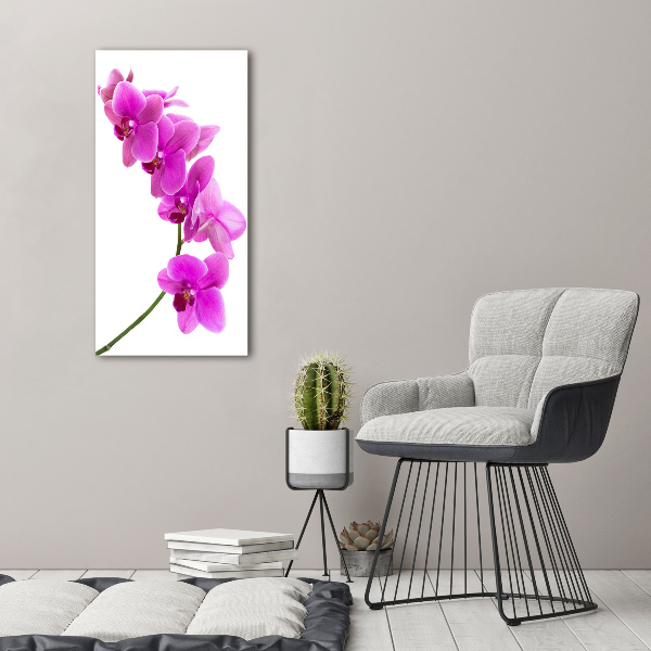 Staand foto in plexiglas Roze orchidee