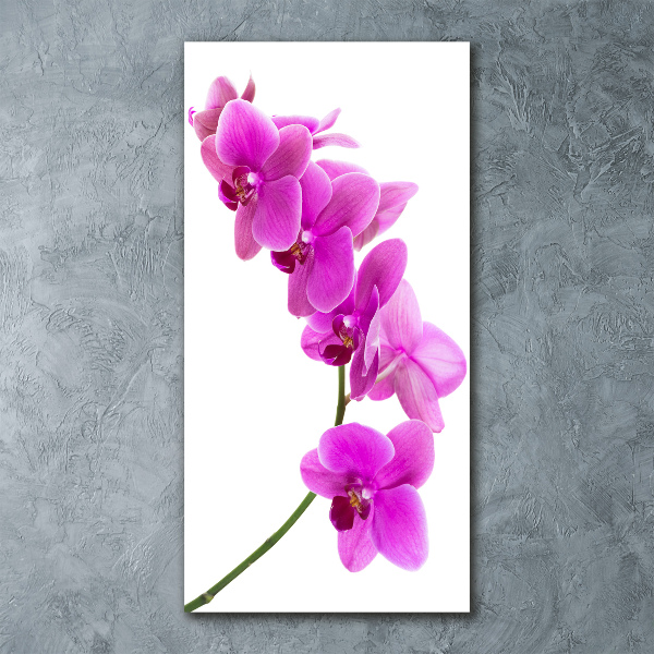 Staand foto in plexiglas Roze orchidee