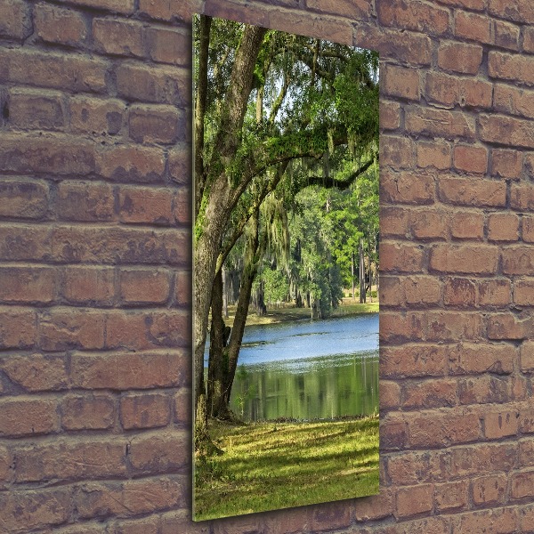 Staand foto op plexiglas Meer in het park