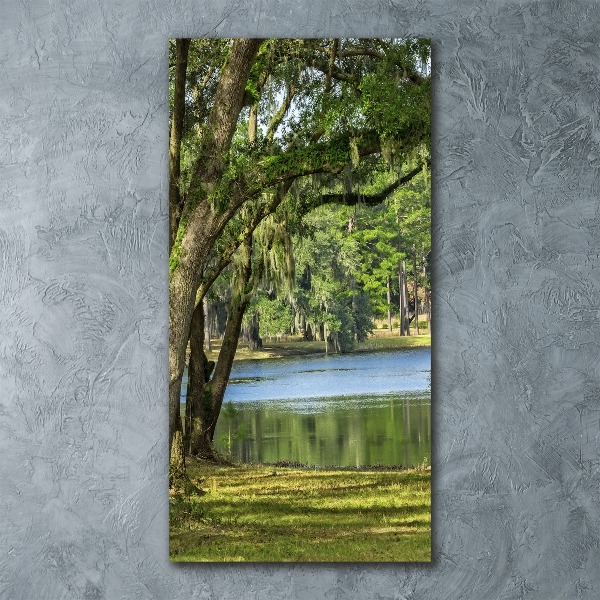 Staand foto op plexiglas Meer in het park