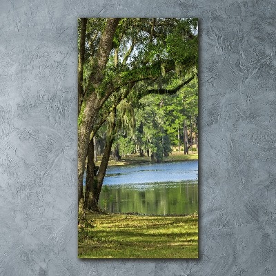 Staand foto op plexiglas Meer in het park