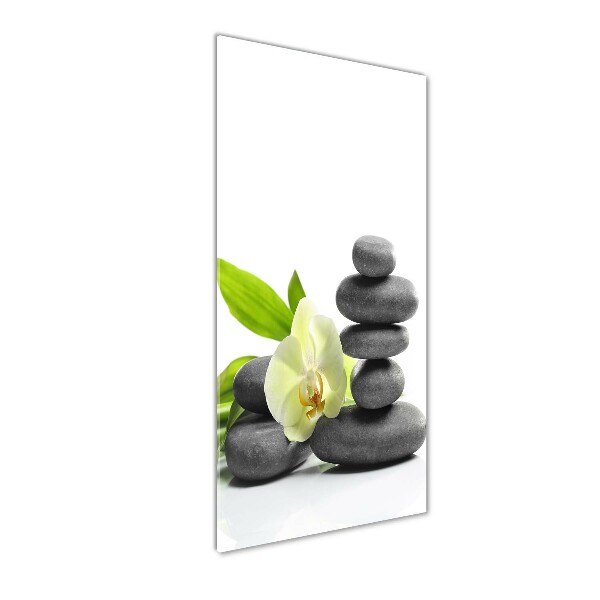 Staand foto plexiglas Orchidee en stenen