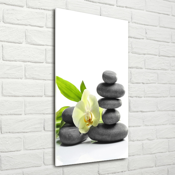 Staand foto plexiglas Orchidee en stenen