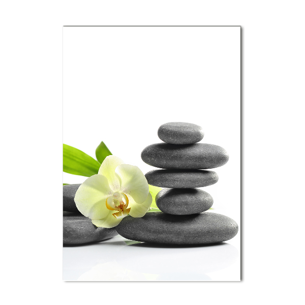 Staand foto plexiglas Orchidee en stenen