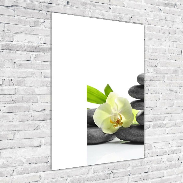 Staand foto plexiglas Orchidee en stenen