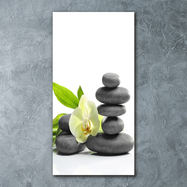 Staand foto plexiglas Orchidee en stenen