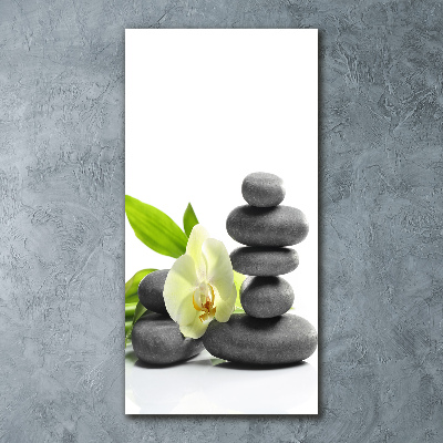 Foto obraz szkło akryl pionowy Orchidea i kamienie