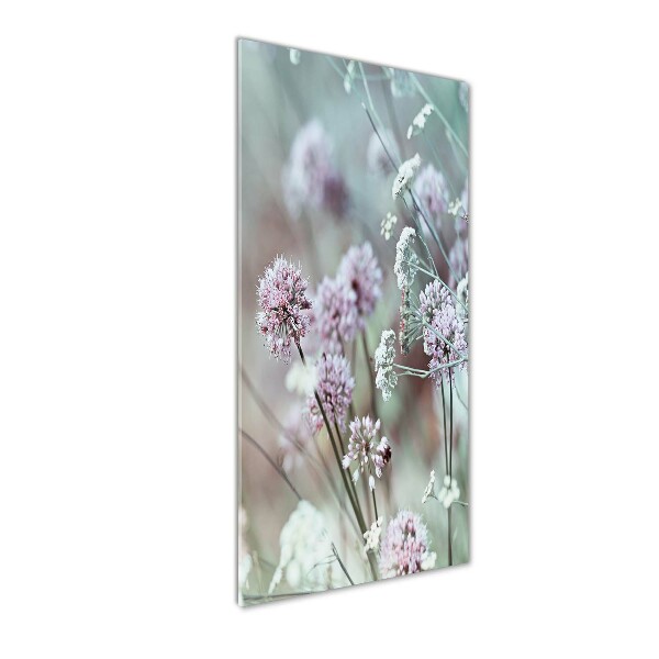Staand foto in plexiglas Knoflookbloemen