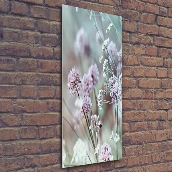Staand foto in plexiglas Knoflookbloemen