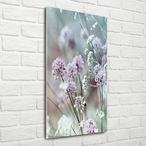 Staand foto in plexiglas Knoflookbloemen