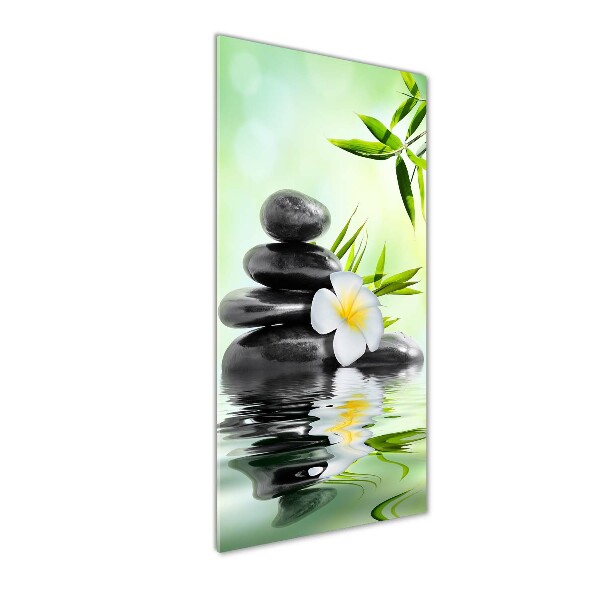 Staand foto op plexiglas Bamboe