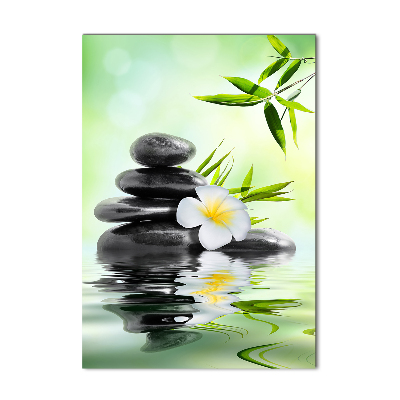 Obraz zdjęcie szkło akryl pionowy Bambus