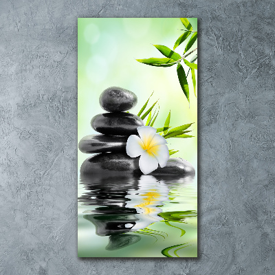 Obraz zdjęcie szkło akryl pionowy Bambus