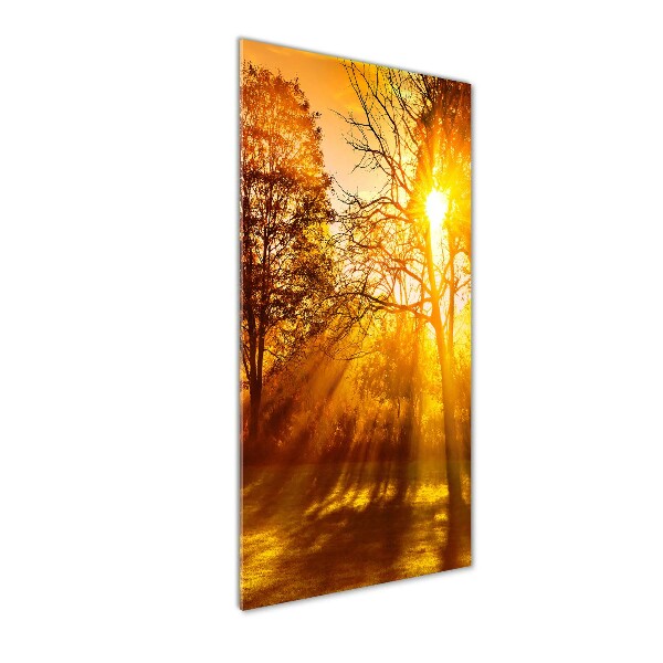 Staand plexiglas foto Park in de herfst