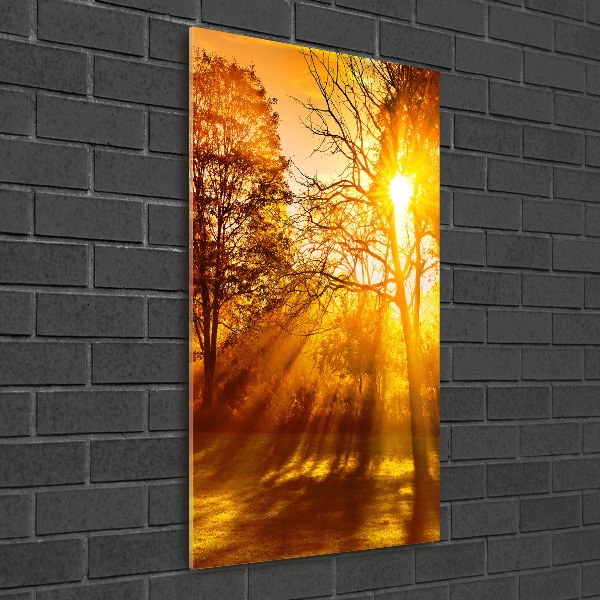 Staand plexiglas foto Park in de herfst