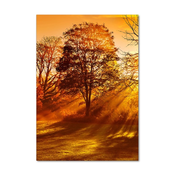 Staand plexiglas foto Park in de herfst