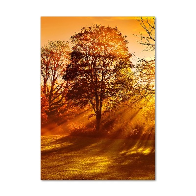 Staand plexiglas foto Park in de herfst