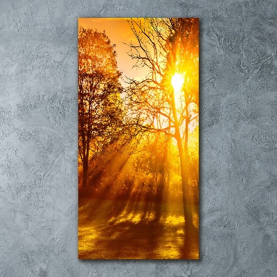 Staand plexiglas foto Park in de herfst