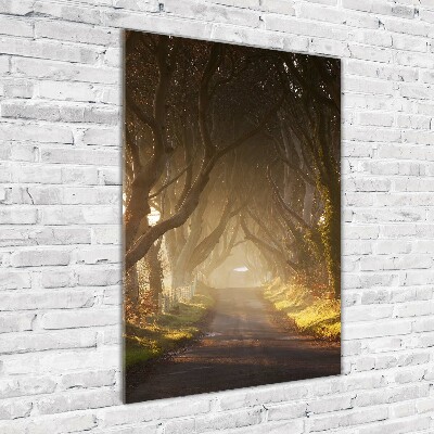 Staand foto plexiglas Pad in het bos