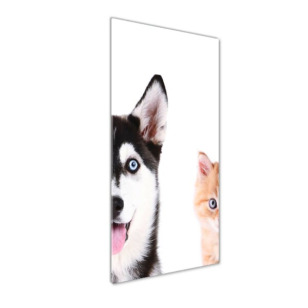 Staand foto plexiglas Hond en kat
