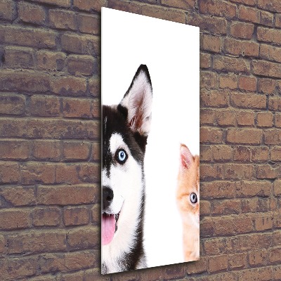 Staand foto plexiglas Hond en kat