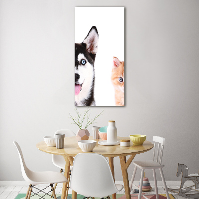 Staand foto plexiglas Hond en kat