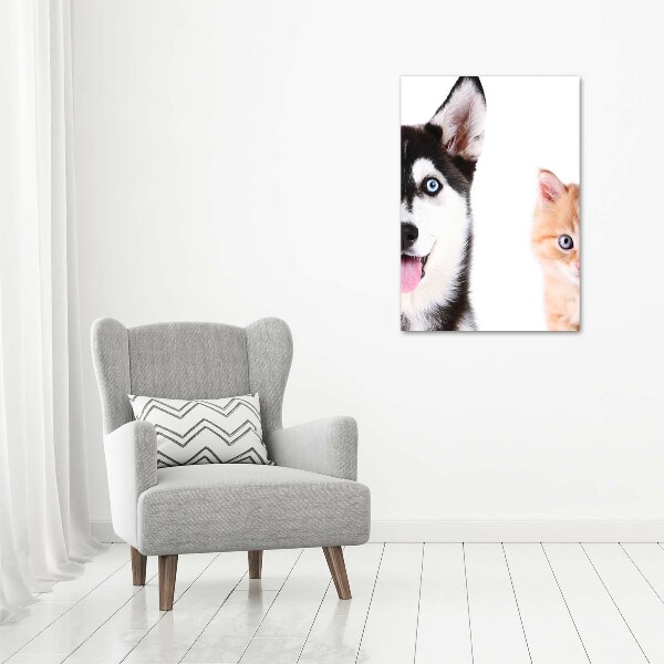 Staand foto plexiglas Hond en kat