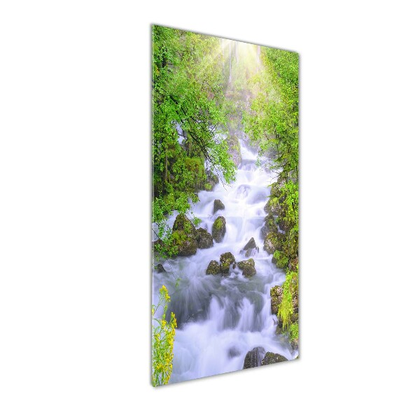 Staand foto in plexiglas Bergstroom