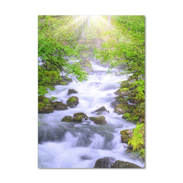 Foto obraz szkło akryl pionowy Górski potok
