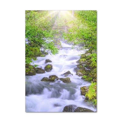 Foto obraz szkło akryl pionowy Górski potok