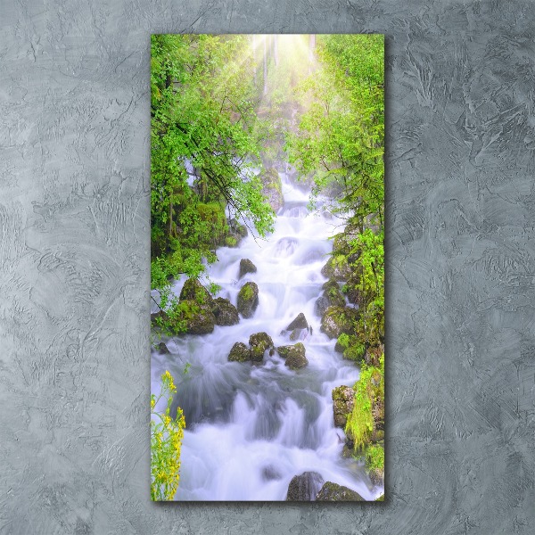 Staand foto in plexiglas Bergstroom