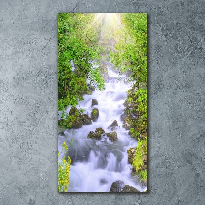 Staand foto in plexiglas Bergstroom