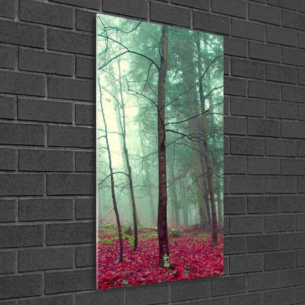 Staand foto op plexiglas Bos in de herfst