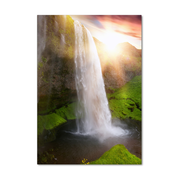 Staand plexiglas foto Waterval