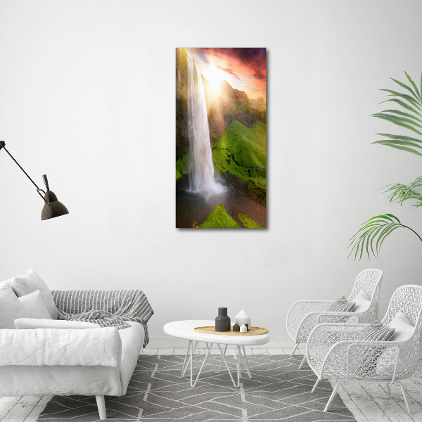 Staand plexiglas foto Waterval