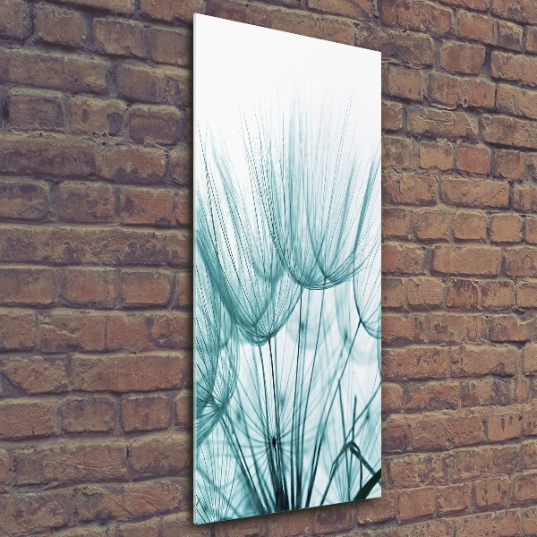 Staand plexiglas foto Paardenbloemzaden