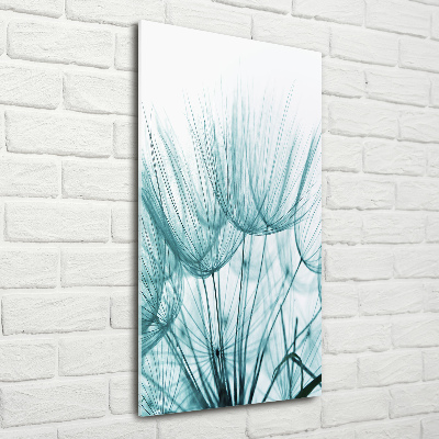 Staand plexiglas foto Paardenbloemzaden