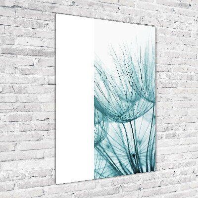 Obraz zdjęcie na ścianę akryl pionowy Nasiona dmuchawca